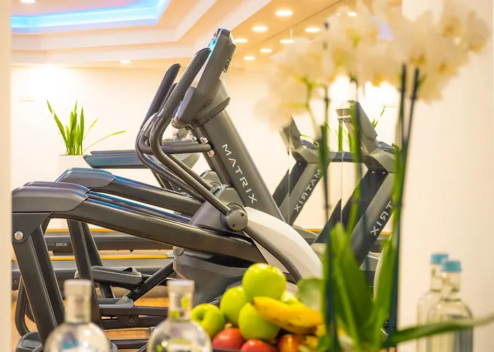 Hotel Steigenberger Colónia